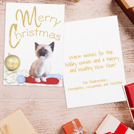 Cute God jul Siamese Kitten Guld Ornament Julkort