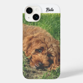 Cute Golden Doodle