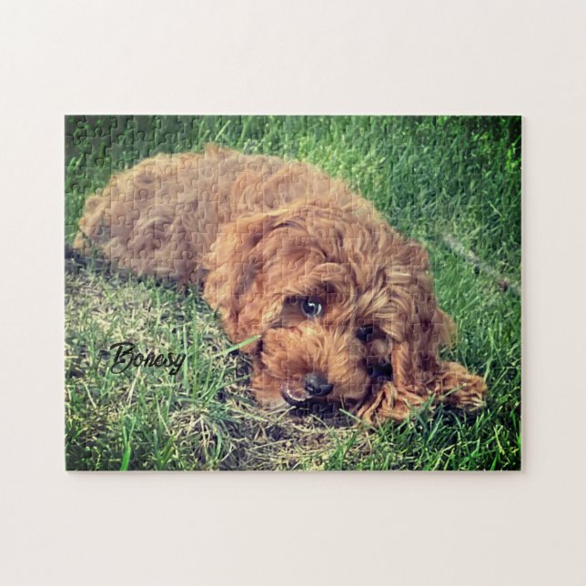 Cute Golden Doodle Jigszle Puzzle Pussel (Horisontell)
