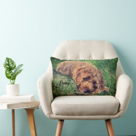 Cute Golden Doodle Lumbarkudde