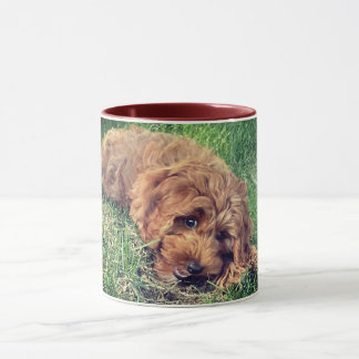Cute Golden Doodle Mugg