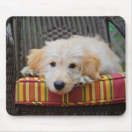 Cute Golden Doodle Puppy Mousepad Musmatta