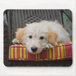 Cute Golden Doodle Puppy Mousepad Musmatta