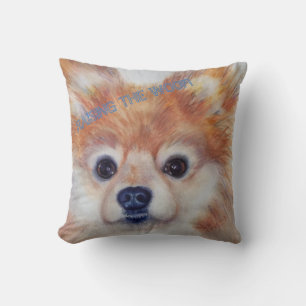CUTE GOLDEN POMERANIAN KUDDE