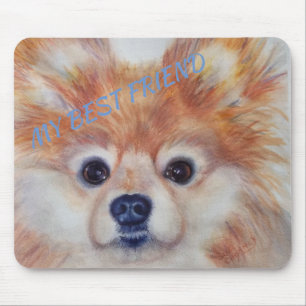 CUTE GOLDEN POMERANIAN MUSMATTA