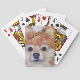 CUTE GOLDEN POMERANIAN SPELKORT