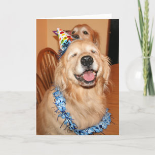 Cute Golden Retriever Birthday Önskemål Kort