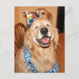 Cute Golden Retriever Birthday Önskemål Vykort