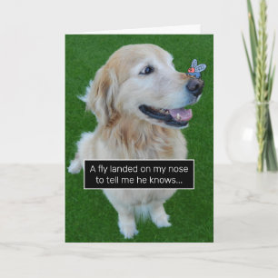 Cute Golden Retriever flyger med ett födelsedagsme Kort