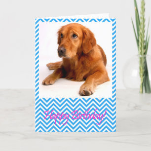 Cute Golden Retriever Grattis på födelsedagen-kort Kort