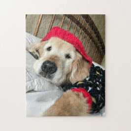 Cute Golden Retriever Hund i Pajamas Pussel