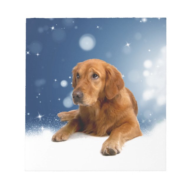 Cute Golden Retriever Hund i Sitta i Snö Stars Anteckningsblock (Framsida)