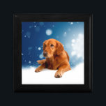 Cute Golden Retriever Hund i Sitta i Snö Stars Smyckeskrin<br><div class="desc">En söt Golden Retriever sitta i snö med blå himmel och stjärnor.</div>