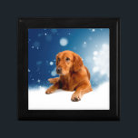 Cute Golden Retriever Hund i Sitta i Snö Stars Smyckeskrin<br><div class="desc">En söt Golden Retriever sitta i snö med blå himmel och stjärnor.</div>