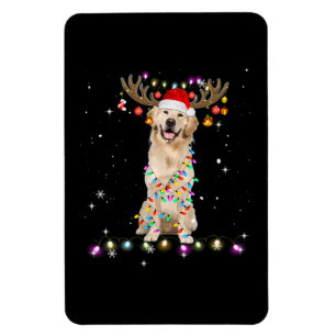 Cute Golden Retriever jul Ljus Reindeer Magnet