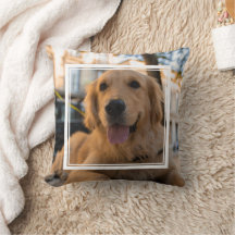 Cute Golden Retriever
