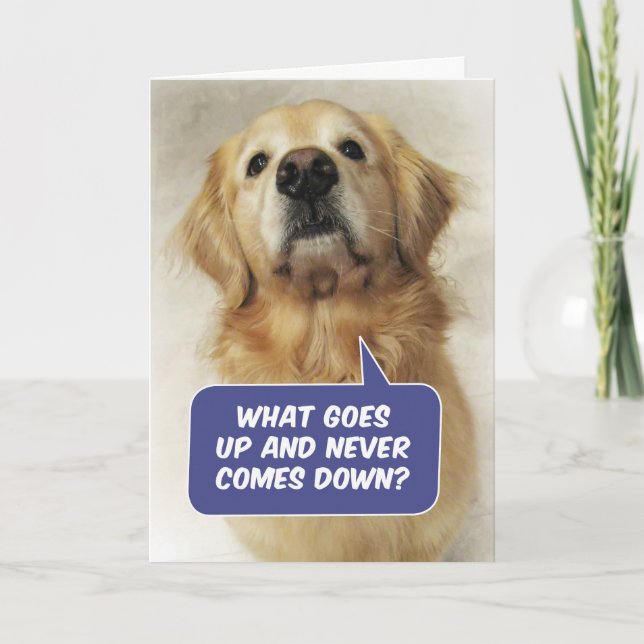 Cute Golden Retriever Lund Birthday Riddle Kort (Framsida)