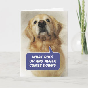 Cute Golden Retriever Lund Birthday Riddle Kort