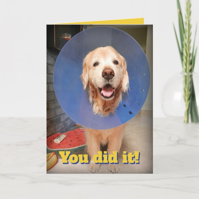 Cute Golden Retriever med Cone-Cone-grattis Kort (Framsida)