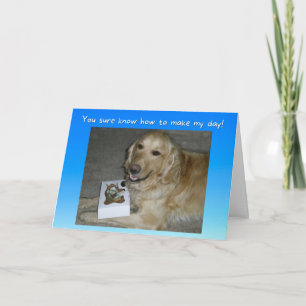 Cute Golden Retriever med Treats Tack  Kort