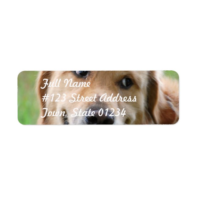 Cute Golden Retriever-postetiketter Returadress Etikett (Framsidan)