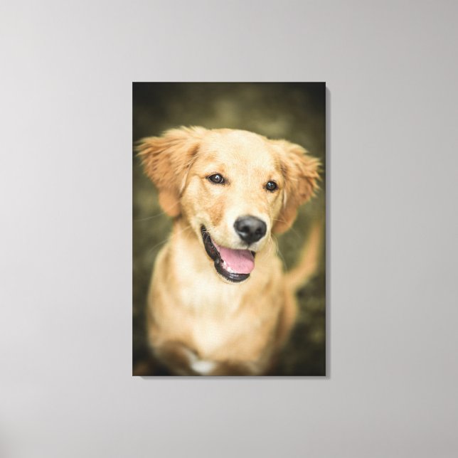 Cute Golden Retriever Puppy Canvastryck (Framsida)