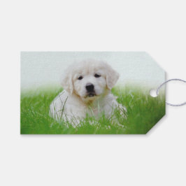 Cute Golden Retriever Puppy Hund Grönt Grass Presentetikett