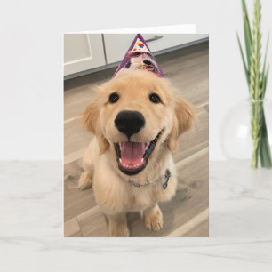 Cute Golden Retriever Puppy Hund med födelsedagsha Kort