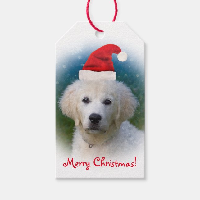 Cute Golden Retriever Puppy Wearing Santa Hat Presentetikett (Framsidan)