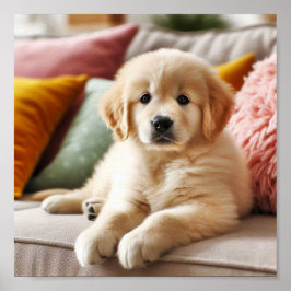 Cute Golden Retriever-valp Poster