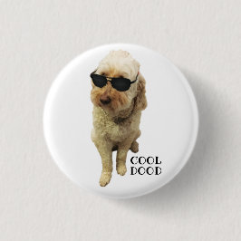 Cute GoldenDoodle, Coola Dood Knapp