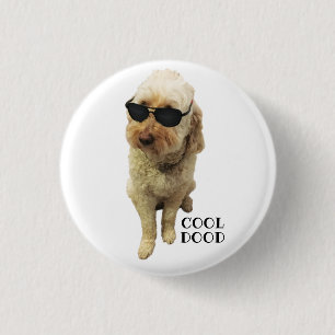 Cute GoldenDoodle, Coola Dood Knapp
