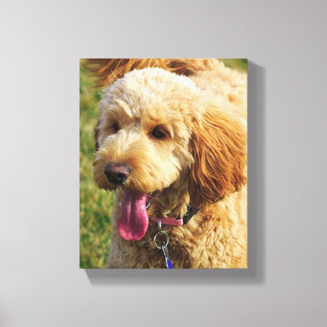 Cute Goldendoodle Hund Canvastryck (Framsida)