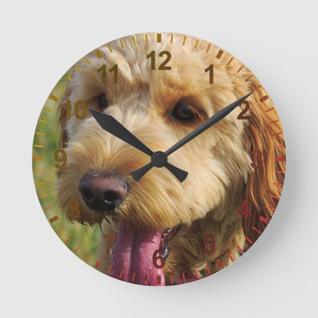 Cute Goldendoodle Hund Rund Klocka (Framsida)