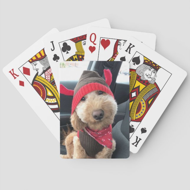 Cute Goldendoodle i hans julkläder Casinokort (Baksidan)