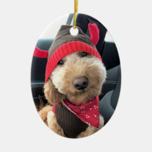 Cute Goldendoodle i hans julkläder Julgransprydnad Keramik