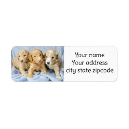 Cute Goldendoodle Puppies-returetiketter Returadress Etikett