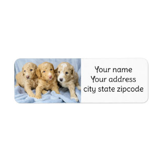 Cute Goldendoodle Puppies-returetiketter Returadress Etikett