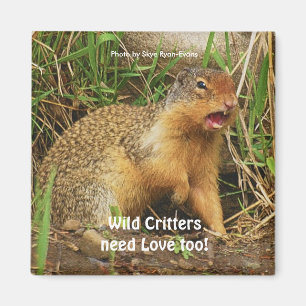 Cute Gopher Prairie-hundar Wildlife Magnets Magnet