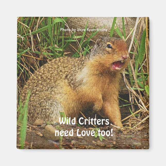 Cute Gopher Prairie-hundar Wildlife Magnets Magnet (Framsidan)