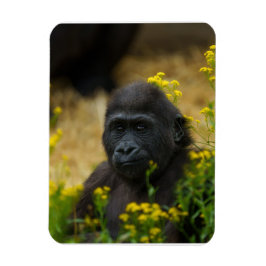 Cute Gorilla Baby Magnet