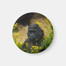 Cute Gorilla Baby Magnet