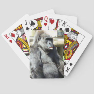 CUTE GORILLA CASINOKORT