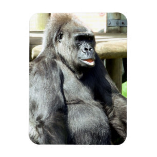 CUTE GORILLA MAGNET