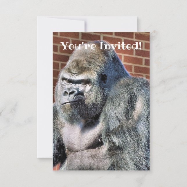 CUTE GORILLA MEDDELANDE (Framsida)