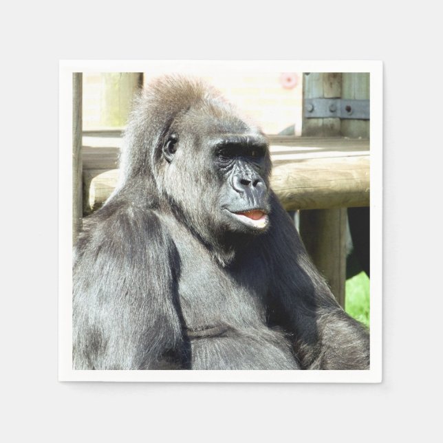 CUTE GORILLA PAPPERSSERVETT (Framsidan)