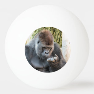 CUTE GORILLA PINGISBOLL