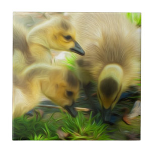 Cute Gosling Kakelplatta