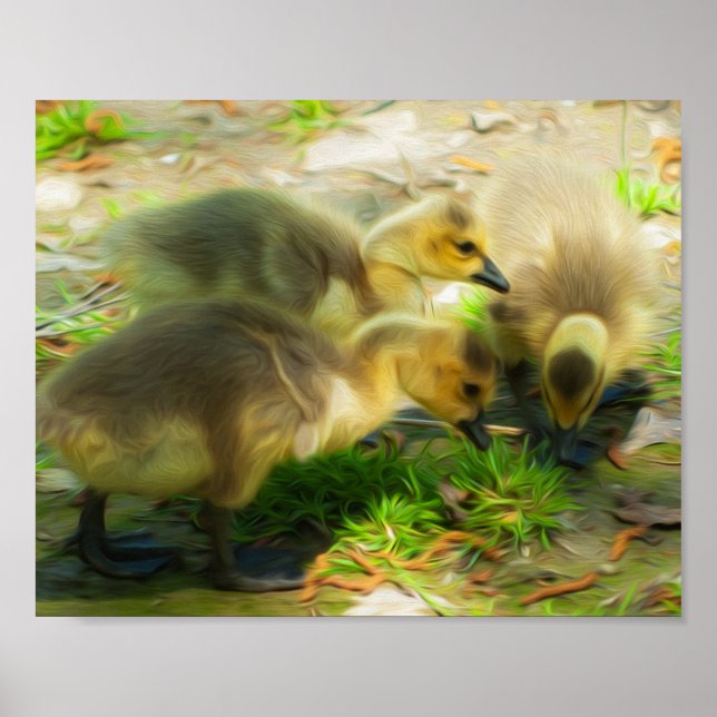 Cute Gosling Poster (Framsidan)