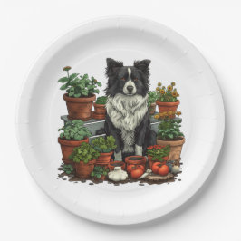 Cute Gräns Collie 